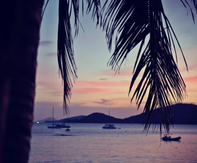 The Cove – Photos 13